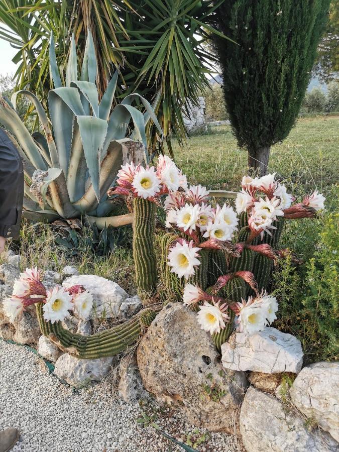 Villa Dei Romani - Country House Guidonia Montecelio Luaran gambar
