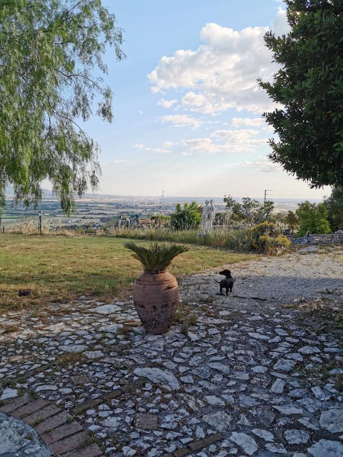 Villa Dei Romani - Country House Guidonia Montecelio Luaran gambar